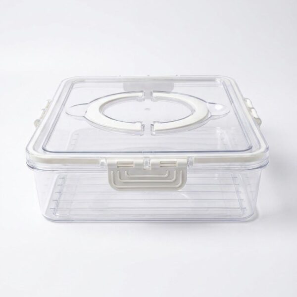 Single-Compartment Drainage Fresh Keeping Container
